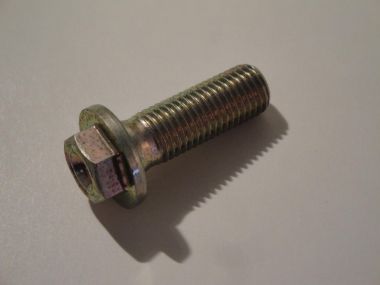 1876873.JPG