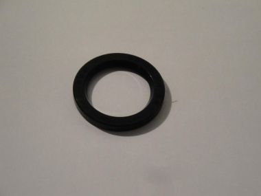 1877690.JPG