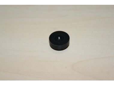 20158299.JPG