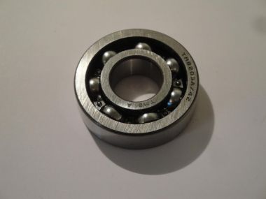 2347003.JPG