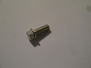 2347028.JPG