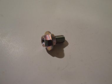 2354676.JPG