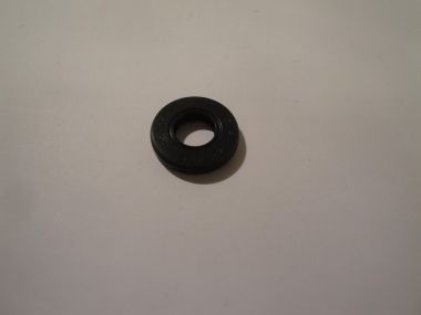 2354705.JPG