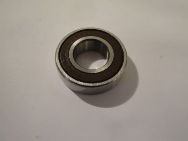2499319.JPG