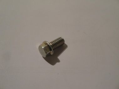 2574942.JPG