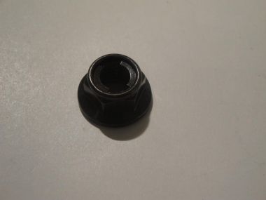 2583330.JPG