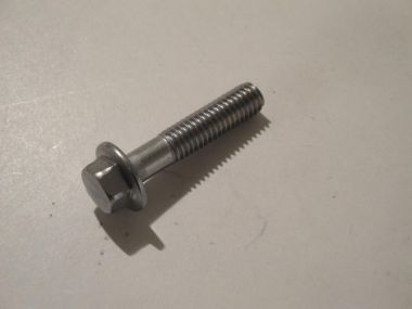 2653523.JPG