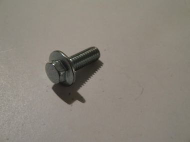 2653553.JPG