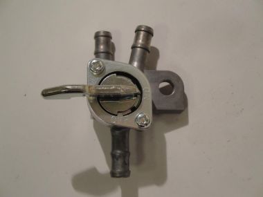 36864053.JPG