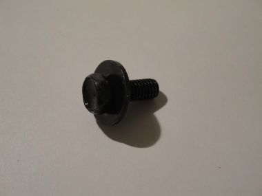 2664682.JPG