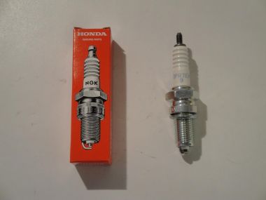 2820581.JPG