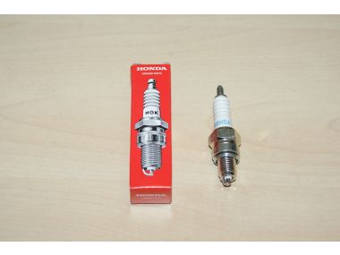 28291050.JPG