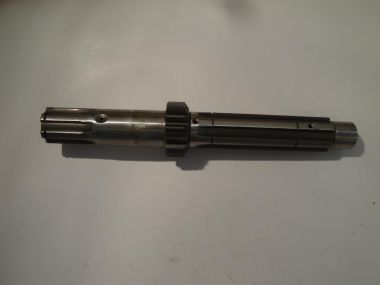3186320.JPG