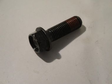 3270557.JPG