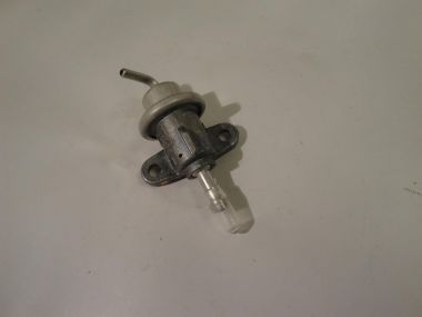 6095745.JPG