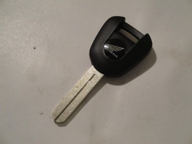 3379620.JPG