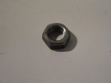 3398959.JPG