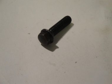 3405890.JPG