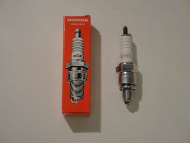 3405936.JPG