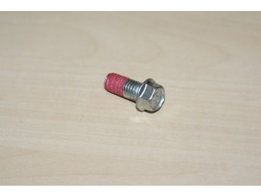 34427606.JPG