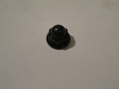 3496910.JPG