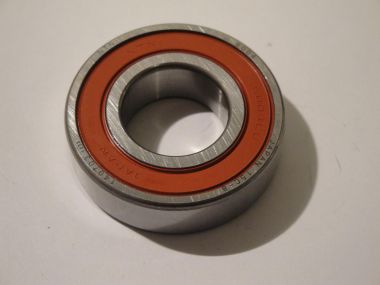 3497079.JPG