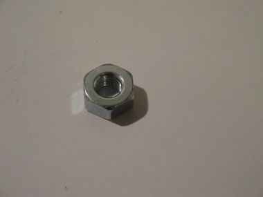 3497131.JPG