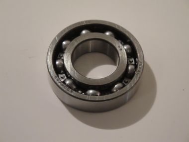 3516015.JPG
