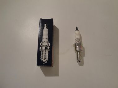 3516035.JPG