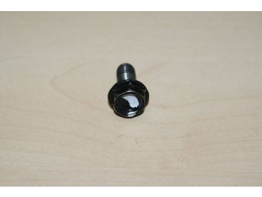 35947036.JPG