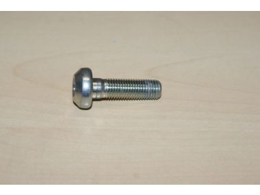 35947039.JPG
