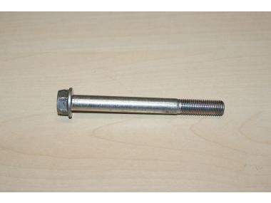 35947042.JPG