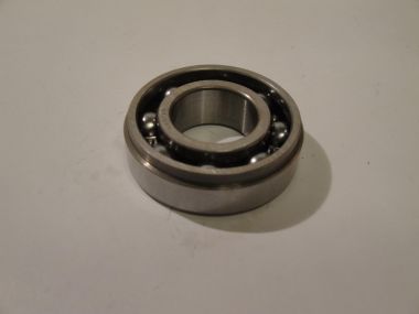 3595995.JPG