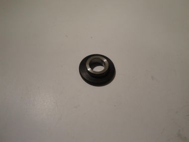 3596079.JPG