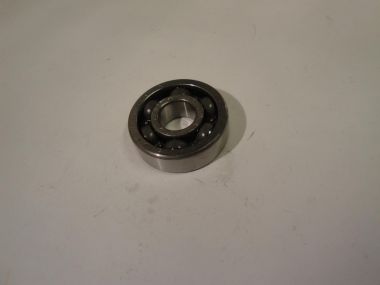 3685424.JPG