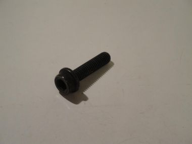 3685564.JPG