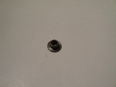 3685570.JPG