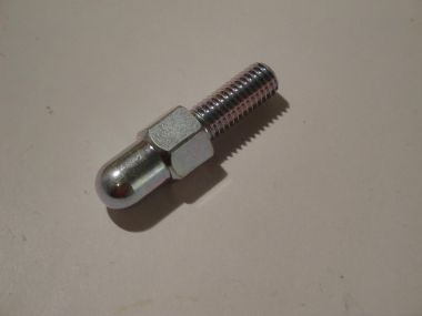 3685588.JPG