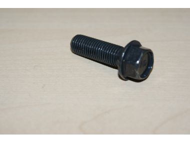 36864047.JPG