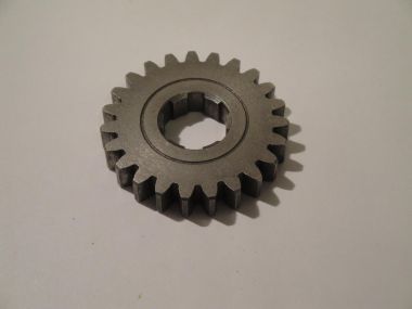 3691467.JPG