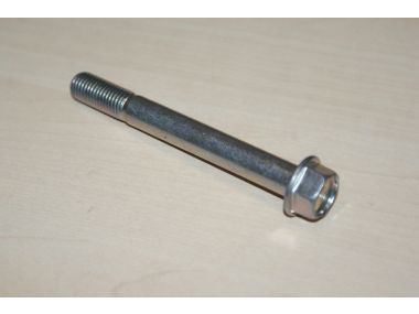 37078602.JPG