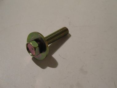 3776246.JPG
