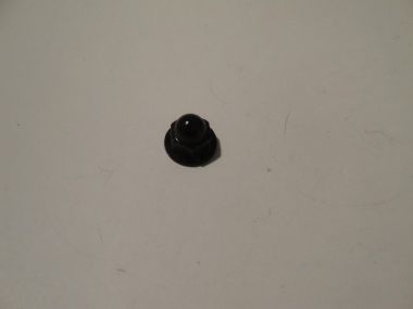 3776300.JPG