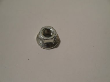 3777080.JPG