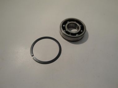 3777099.JPG