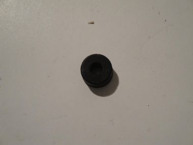 3777147.JPG