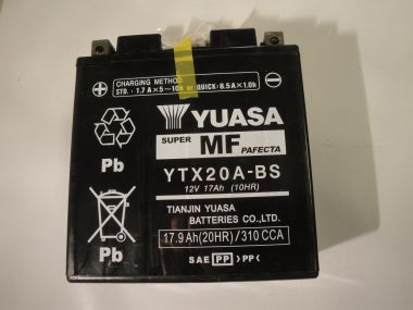 39698603.JPG