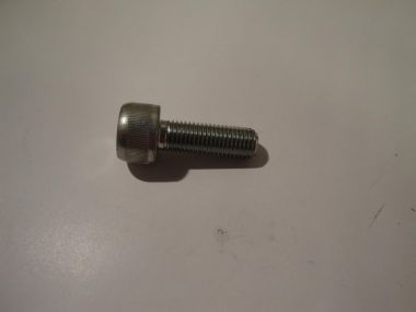 4018362.JPG