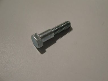 4027905.JPG