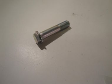 4027910.JPG